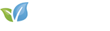 Floowie